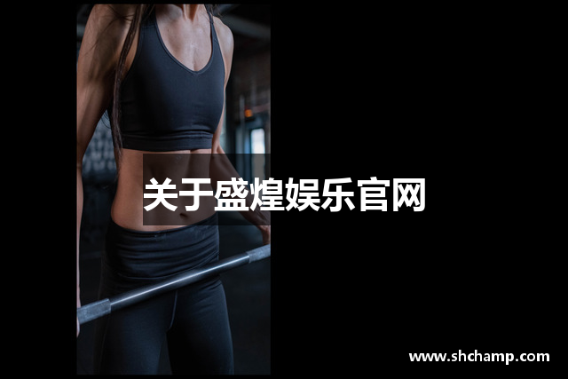 关于盛煌娱乐官网